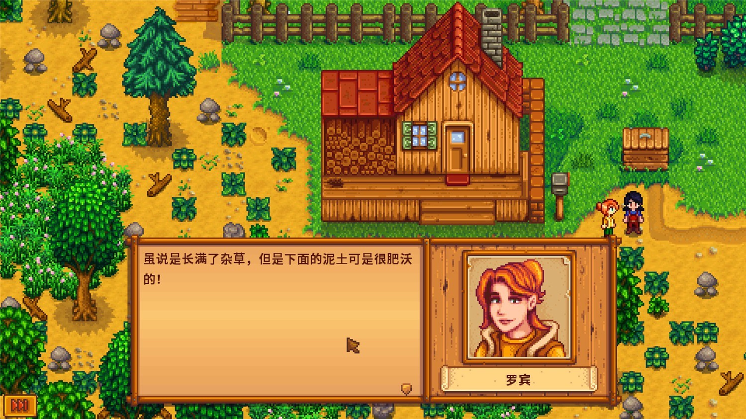 星露谷物语/Stardew Valley/支持网络联机-4